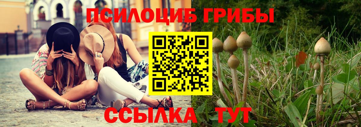 Псилоцибиновые грибы GOLDEN TEACHER  наркошоп  Псилоцибиновые грибы прущие грибы  Ипатово  Вход с VPN 