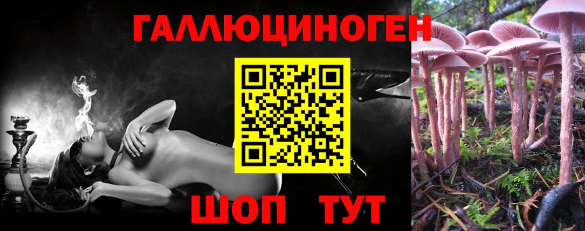 Псилоцибиновые грибы GOLDEN TEACHER Ипатово